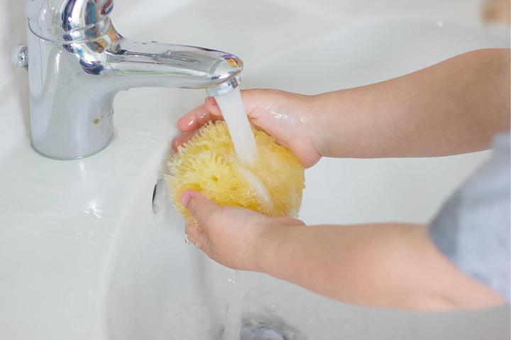 Image du produit Rotho Babydesign Éponge méditerranéenne