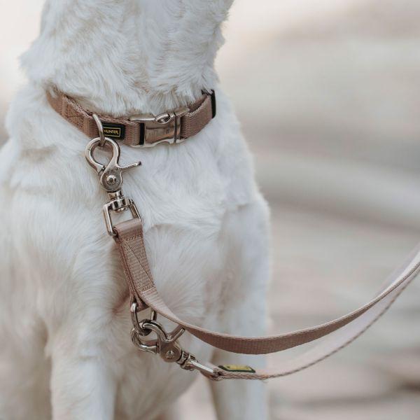 Actual product image Hunter Adjustable lead Inari, 20/200, Beige, width: 2 cm (Dog, General)