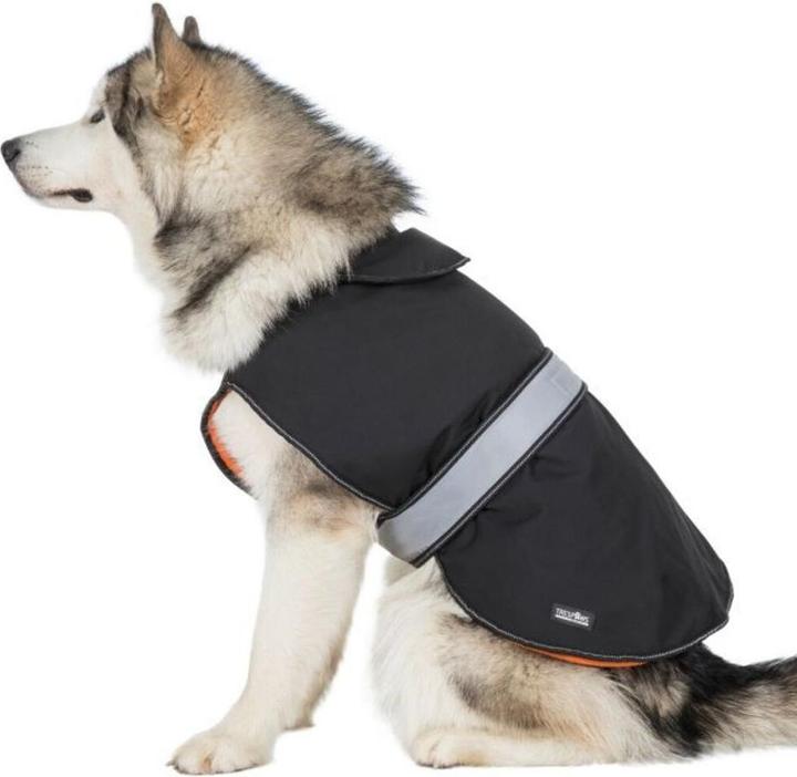 Actual product image Trespass BUTCH X - Softshell Dog Jacket (L, Dog coat)