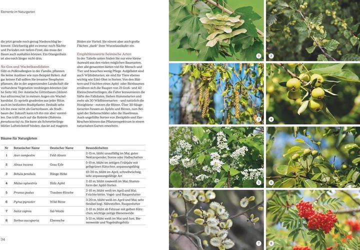 Image du produit Pflegeleichte Naturgärten gestalten (Allemand, Paula Polak, 2022)