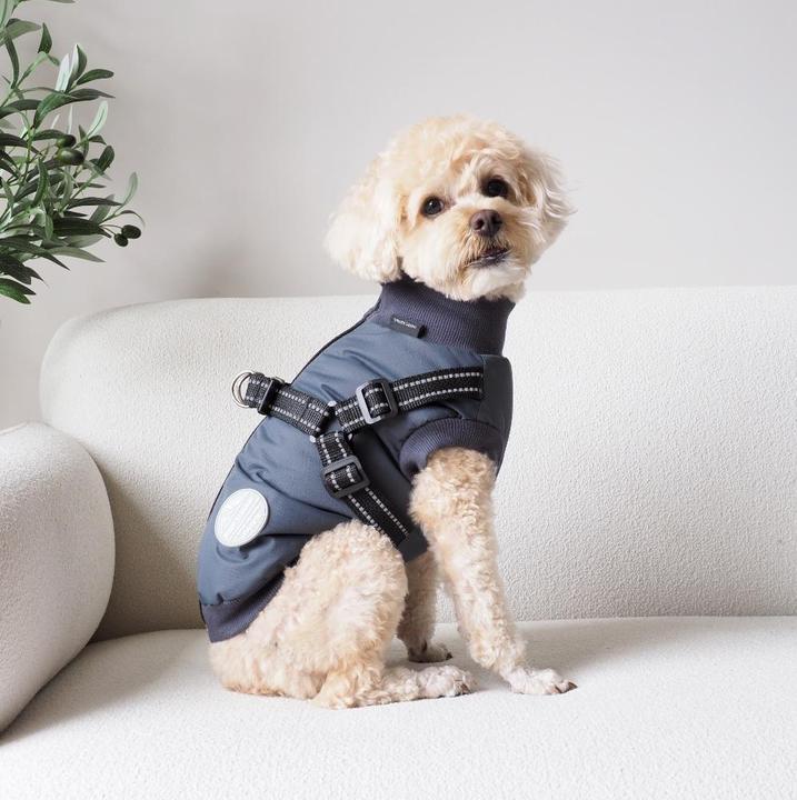 Dog clothing
