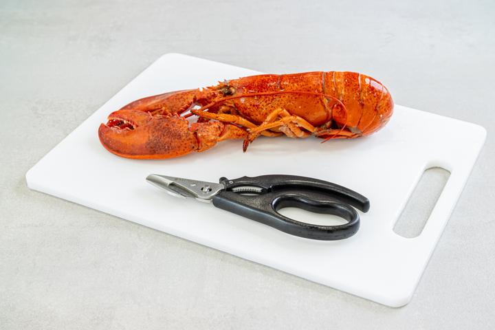 Actual product image Master Class 18.5cm Seafood Shears, Blister Carded