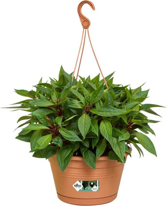 Produktbild Elho Green Basics Hängeampel (27.80 cm)