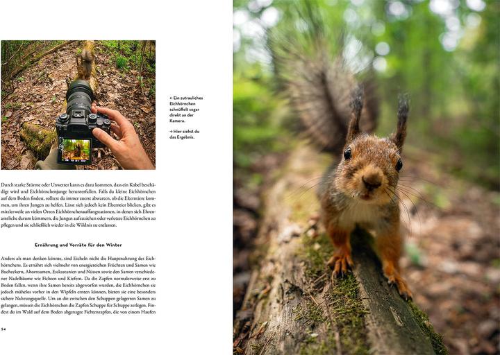 Immagine prodotto Kosmos Moments in Nature (Tedesco, Una López, Gamander López, 2024)