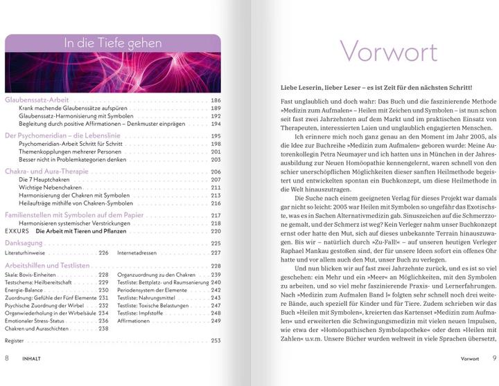 Produktbild Medizin zum Aufmalen: Heilen mit Zeichen und Symbolen. Das Basisbuch Neue Homöopathie (Deutsch, Roswitha Stark, 2025)