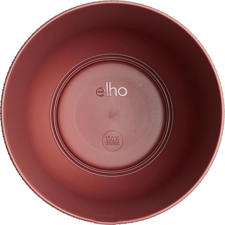 Immagine prodotto Elho Giro di Jazz (23 cm)