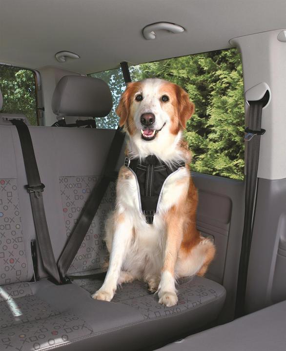 Image du produit Trixie Harnais de protection pour la voiture (Chien, Réflecteurs, Pliable)