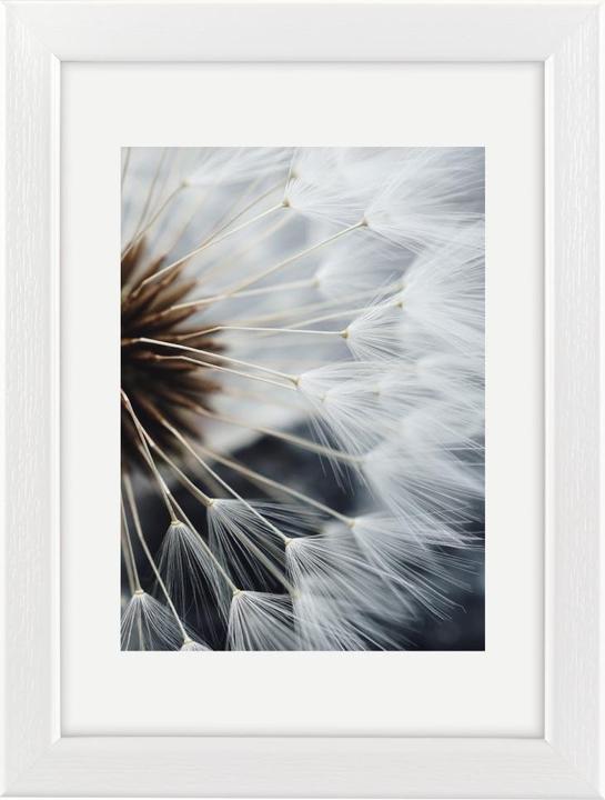 Image du produit Hama brise (20 x 30 cm, 13 x 18 cm)