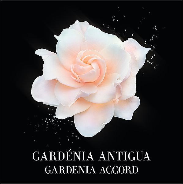 Produktbild Giorgio Armani Gardenia Antigua (Eau de Toilette, 100 ml)