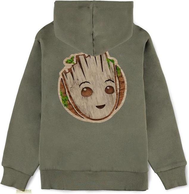 Actual product image Difuzed MARVEL - Groot - Hoodie Garçon (110/116) (110)