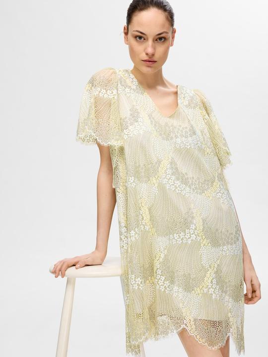 Actual product image Selected Femme Lace mini dress (40)