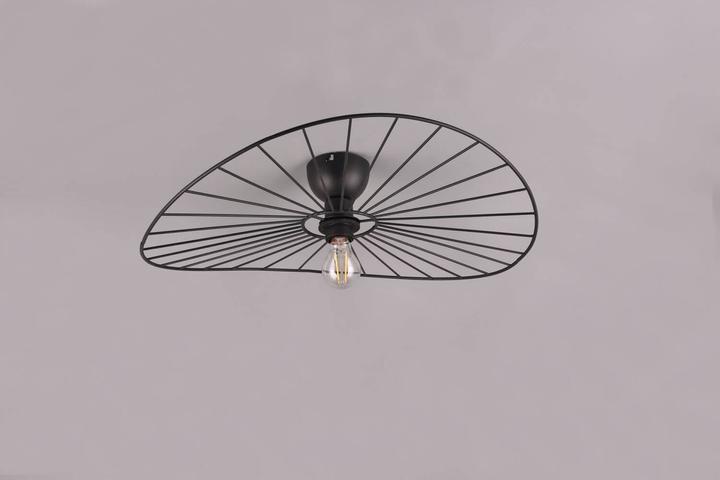 Image du produit Reality Chapeau Plafonnier E27 ⌀60cm Noir Mat (E27)