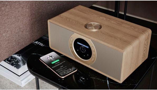 Immagine prodotto Sharp DR-I470(BR)PRO (FM, DAB, WiFi)