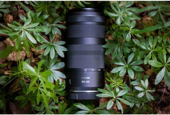 Image du produit Canon RF 100-400mm f/5.6-8 IS USM - (UE) (Canon RF, Plein format)