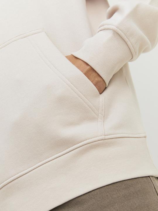 Image du produit Jack & Jones Sweat à capuche (L)