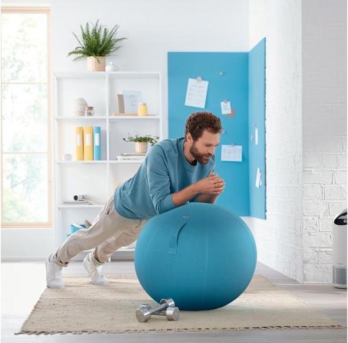 Produktbild Leitz Ergo Cosy Active Sitzball (65 cm)