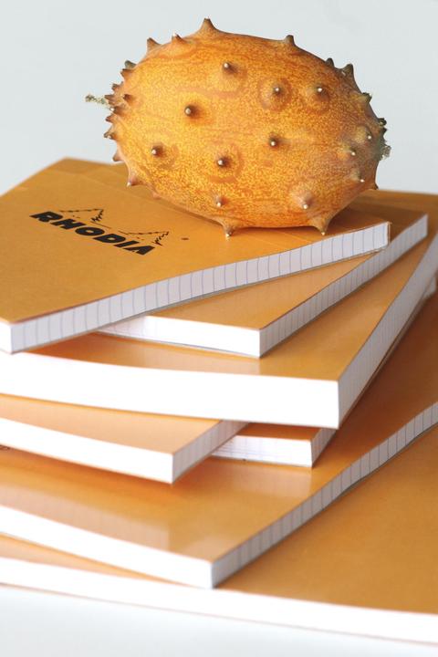 Produktbild Rhodia Basics (A5, Blanko)