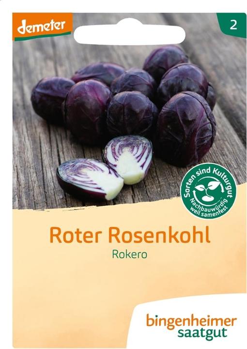 Actual product image Bingenheimer Saatgut Roter Rosenkohl Rokero (Vegetable seeds)