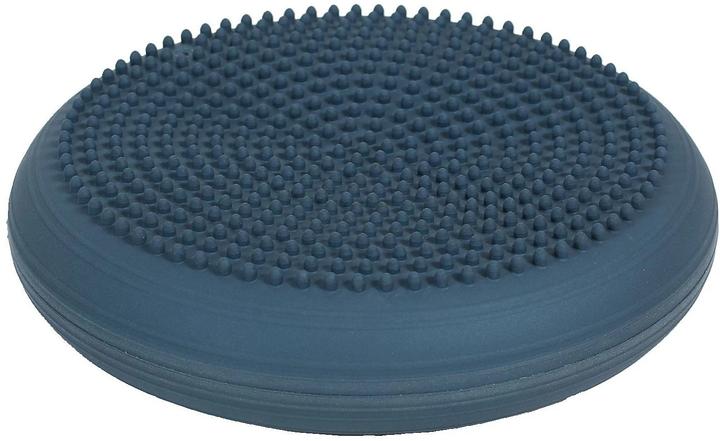 Actual product image Togu Dynair ball cushion Senso XL