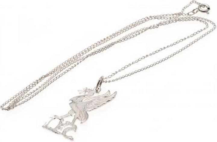 Image du produit Score Draw Pendentif en argent sterling Liverbird et chaîne (100% argent sterling)