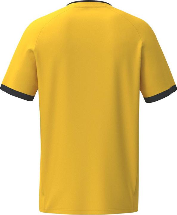 Actual product image Erima LIBERO 125 Jersey (M)