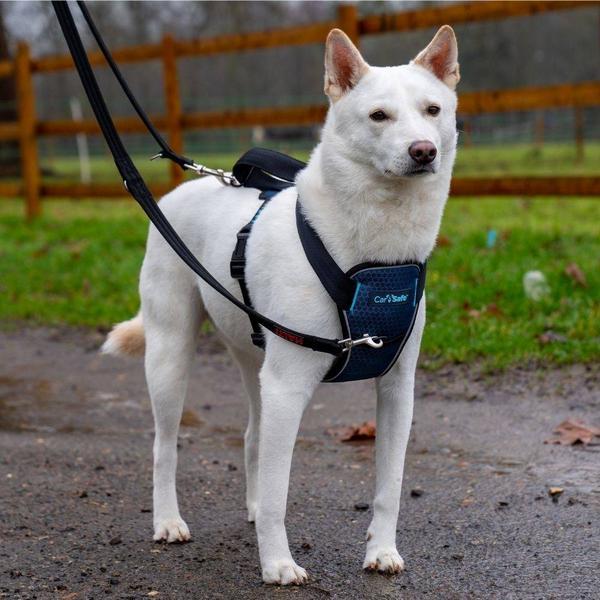 Produktbild Company of Animals CarSafe Autogeschirr (Hund, Reflektoren, Faltbar)