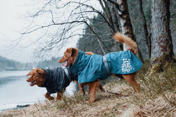 Immagine prodotto Hurtta Cappotto Monsoon mirtillo (40, Cappotto per cani)