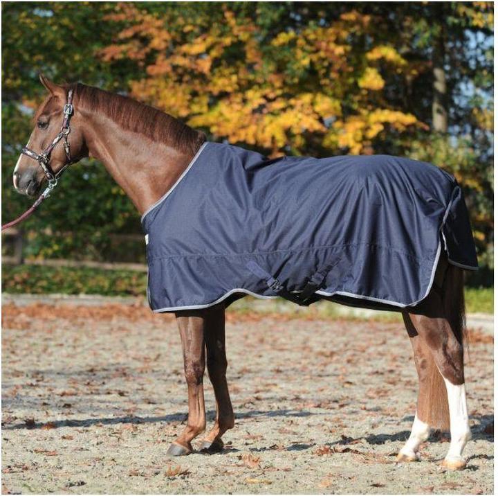 Produktbild Kavalkade Winnipeg 200 g (135 cm)
