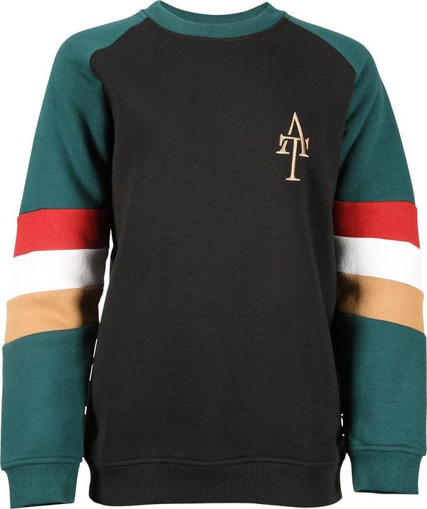 Image du produit Aubrion - Sweat TEAM - Fille (128)
