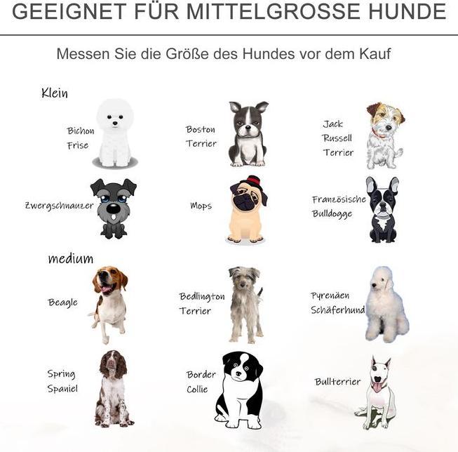 Immagine prodotto Swisshandel24 Divano per animali domestici divano per cani con gamba in velluto olandese in schiuma di betulla (Gatto, Cane)