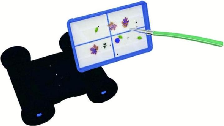 Actual product image Poolstar Coyote
