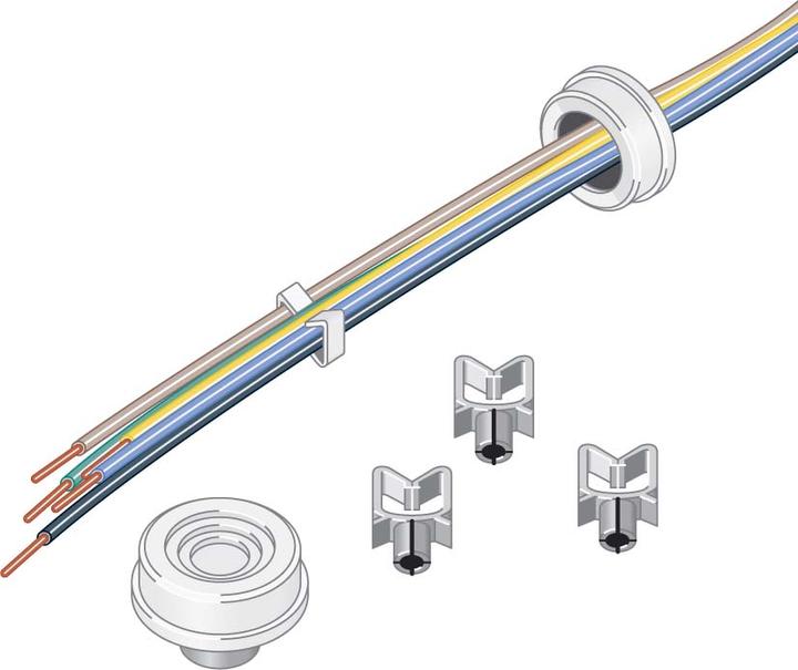 Actual product image Ridi Wiring