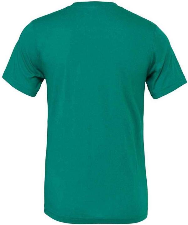 Actual product image Bella Canvas Adults Unisex Crew Neck T-Shirt (XXL)