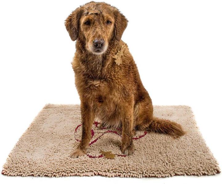 Actual product image Dog Gone Smart Dirty Dog Doormat dirt mat (Dog)