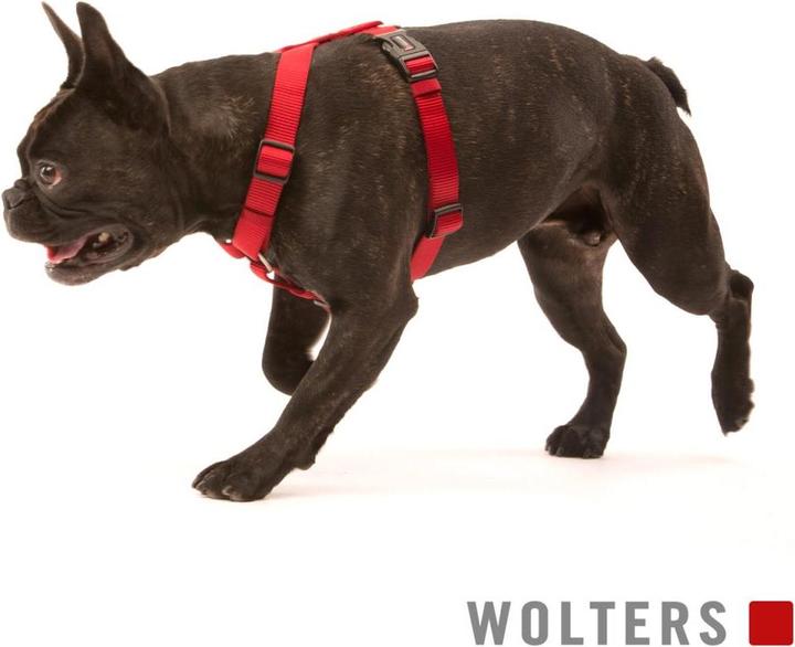Actual product image Wolters Dog Harness Professional for Pug & Co Nylon (40, 41, 42, 43, 44, 45, 46, 47, 48, 49, 50, 52, 54, Dog, General)