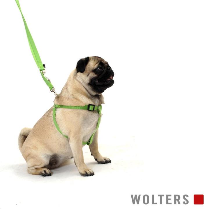 Actual product image Wolters Dog Harness Professional for Pug & Co Nylon (40, 41, 42, 43, 44, 45, 46, 47, 48, 49, 50, 52, 54, Dog, General)