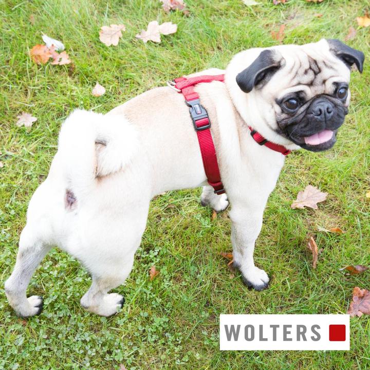 Actual product image Wolters Dog Harness Professional for Pug & Co Nylon (40, 41, 42, 43, 44, 45, 46, 47, 48, 49, 50, 52, 54, Dog, General)