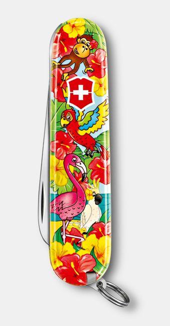 Image du produit Victorinox Couteau de poche