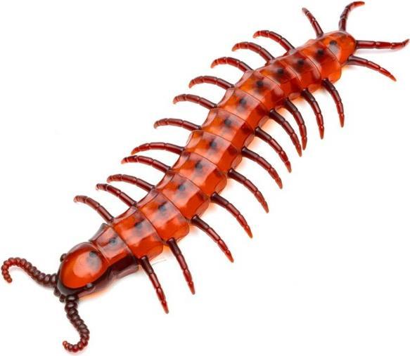 Image du produit Chaks Mille-pattes géant