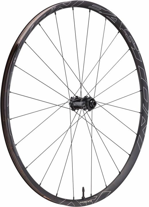 Immagine prodotto Easton EA90 AX Road CLN disco anteriore 12x100/15x100 (Ruota anteriore, 28")