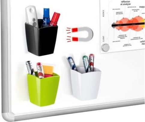 Actual product image Cep Pencil case Gloss magnetic