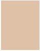 Produktbild L'Oréal Paris Infaillible (120 Vanilla)