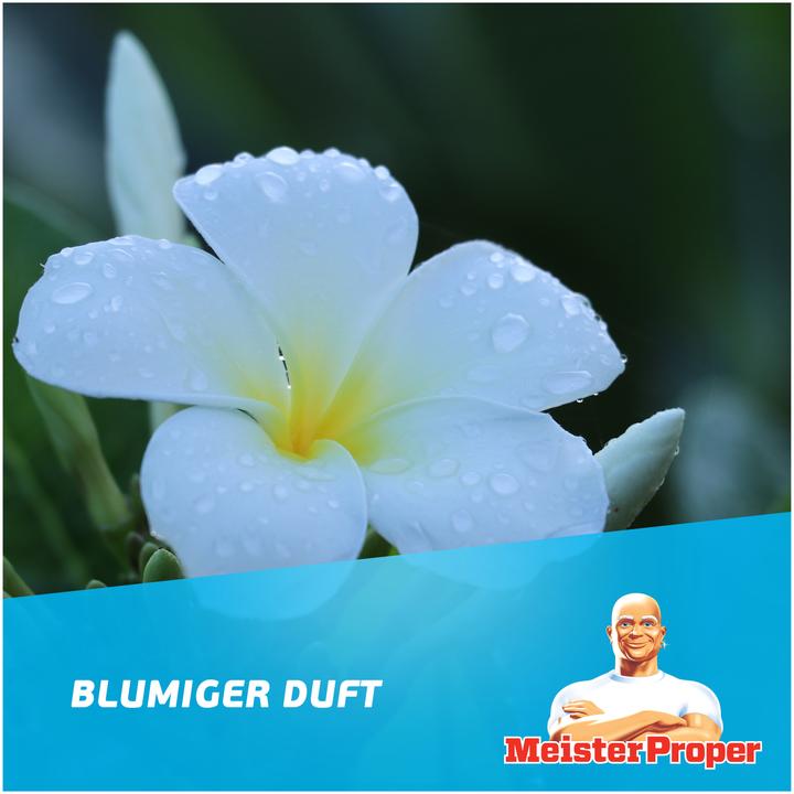 Produktbild Meister Proper Allzweckreiniger