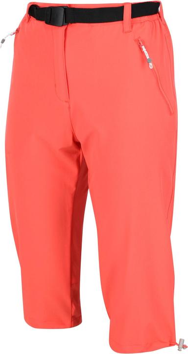 Actual product image Regatta Womens/Ladies Xert Stretch Casual Shorts (46 D)