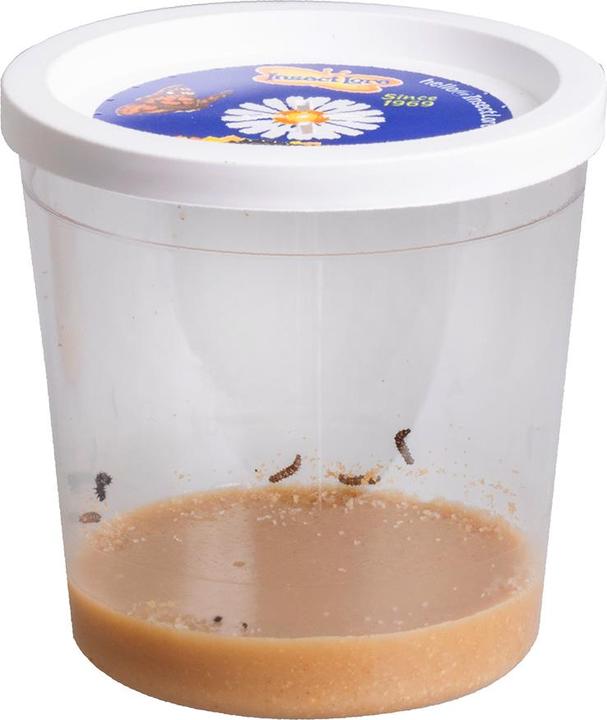 Produktbild HCM Kinzel Schmetterlings-Garten
