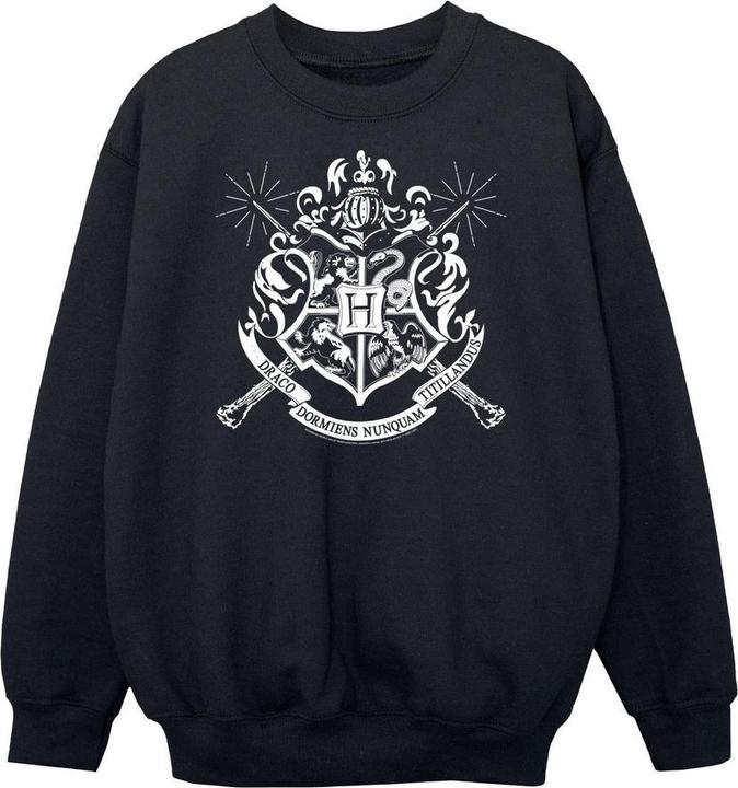 Produktbild Sweatshirt Jungen (152, 158)