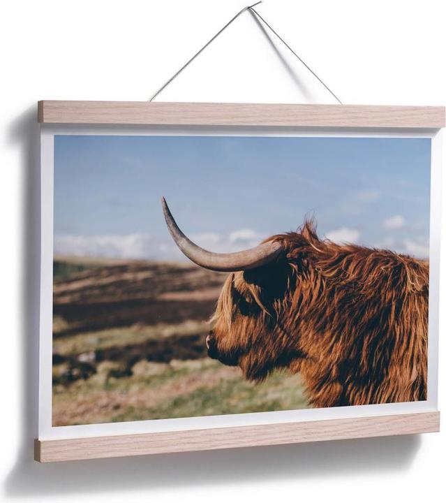 Actual product image Trenddeko Highland Cow 02 (30 x 24 cm)