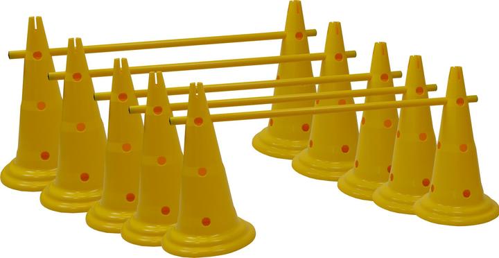 Sporti Kit c 'kit multisauts hauteur 50 cm' (multi-jump kit, height 50 cm)