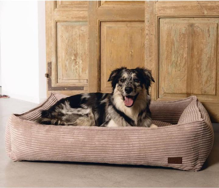 Actual product image Designed by Lotte Douglass (Dog)