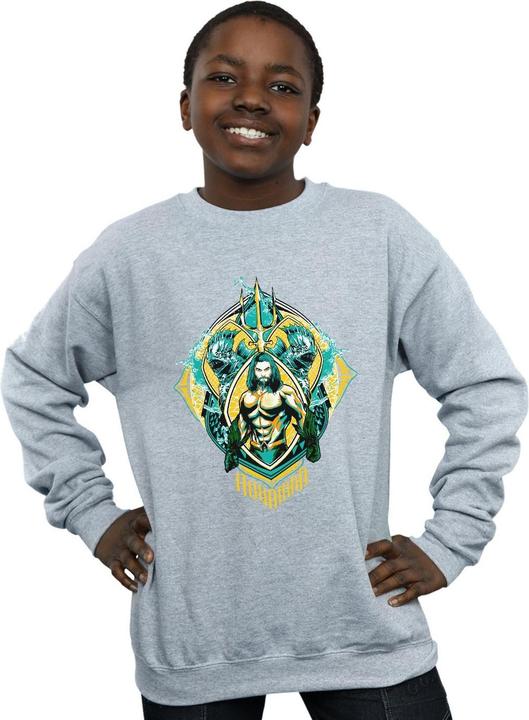 Immagine prodotto Felpa garçon Aquaman The Trench Crest (116)